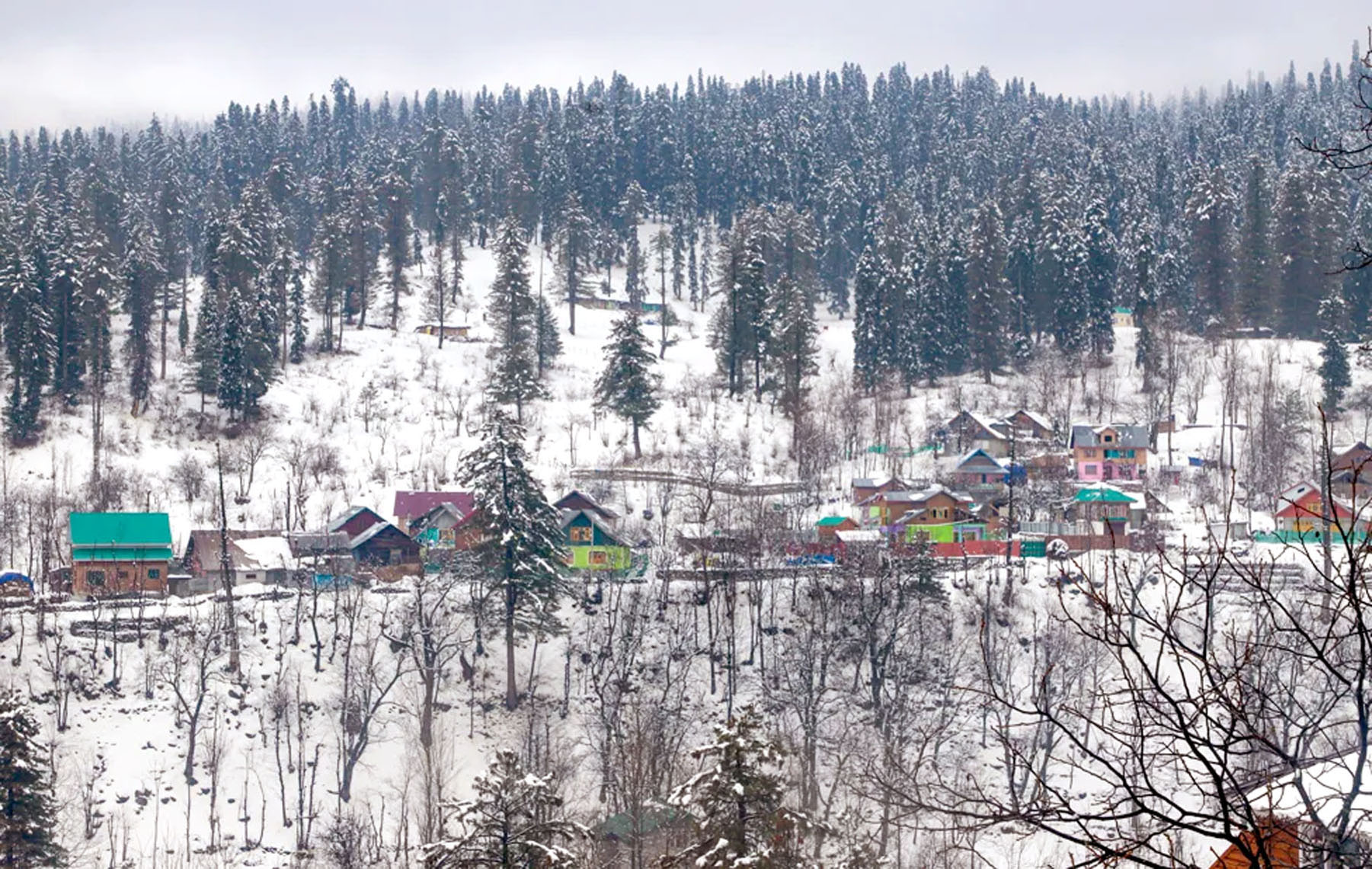 Snowfall in Kashmir's highlands, rain in plains